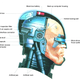 Illustration for article titled These Blueprints Expose The Innards Of Your Favorite Fictional Robots